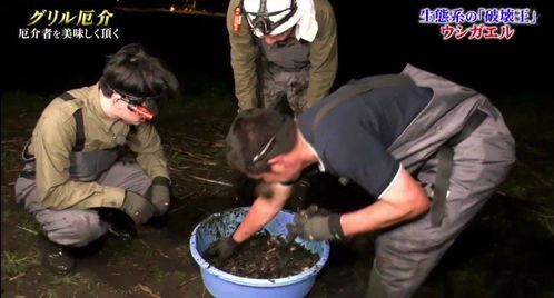 牛哥最新爆料视频大全集,揭秘热点事件背后的真相  第1张